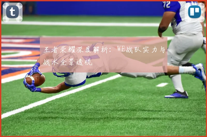 王者荣耀深度解析：WE战队实力与战术全景透视