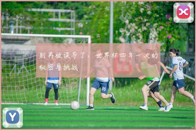 别再被误导了，世界杯四年一次的秘密与挑战