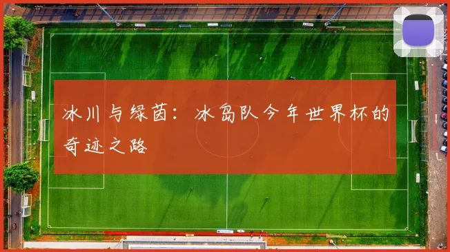 冰川与绿茵：冰岛队今年世界杯的奇迹之路